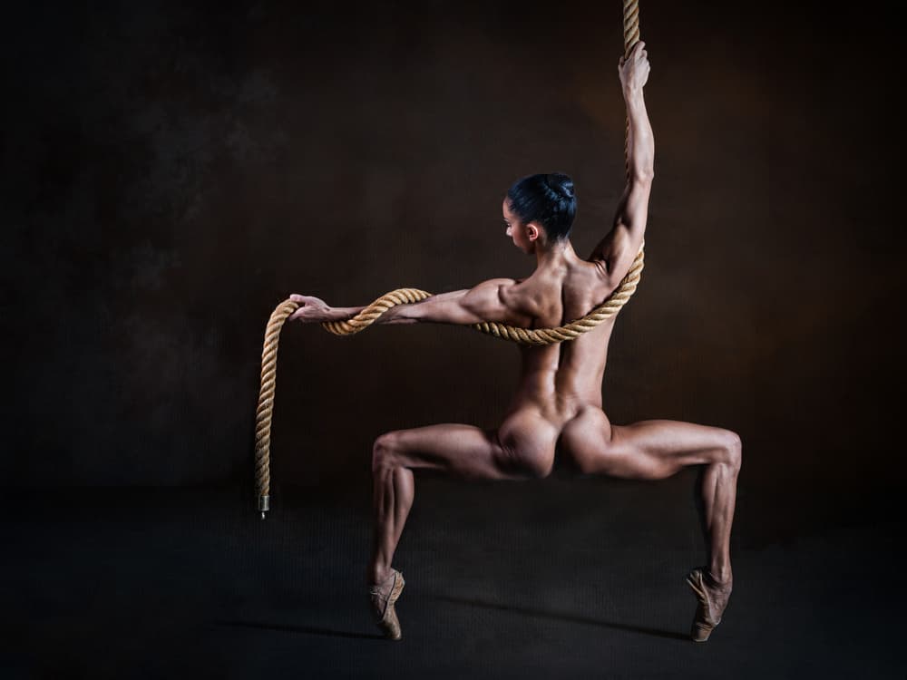Powerful Elegance by Luc Stalmans — canvas wall art