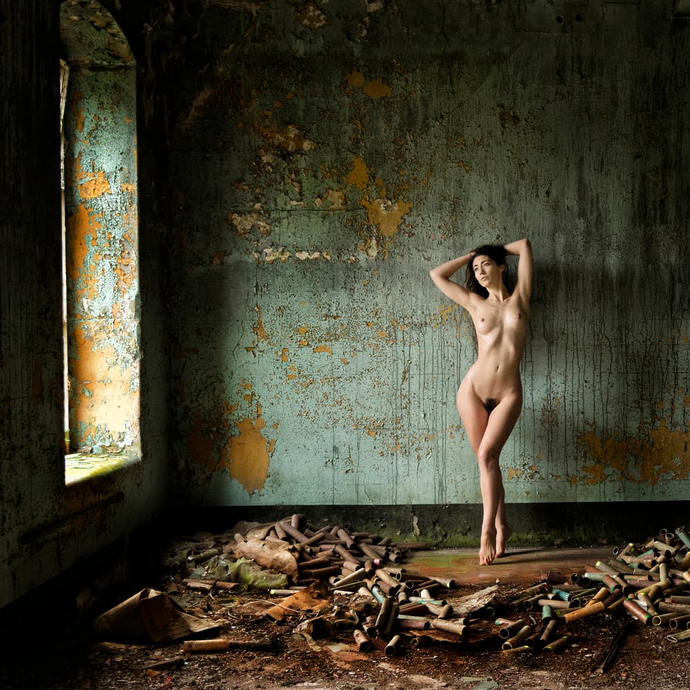 Drawn to the Light by Hugh Wilkinson — canvas wall art