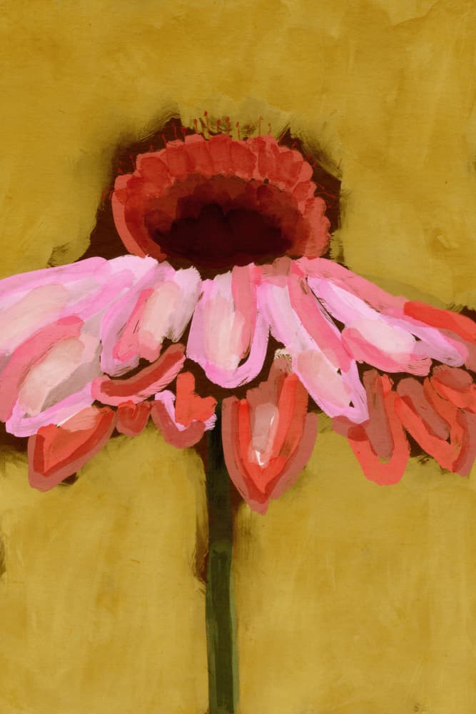 Petal dream by Treechild — canvas wall art