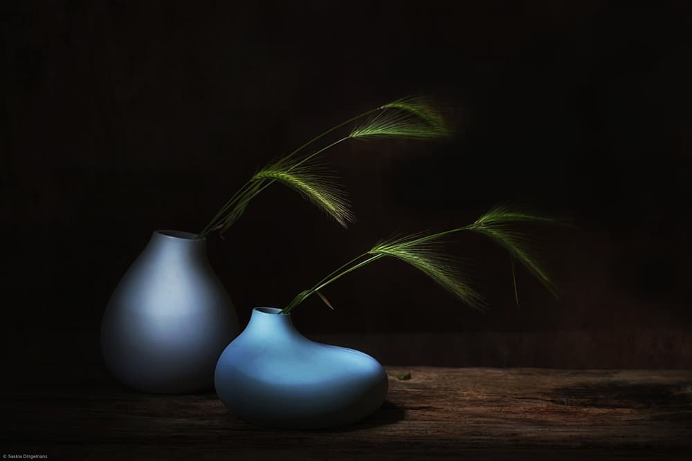 Dark Grass Still Life by Saskia Dingemans — canvas wall art