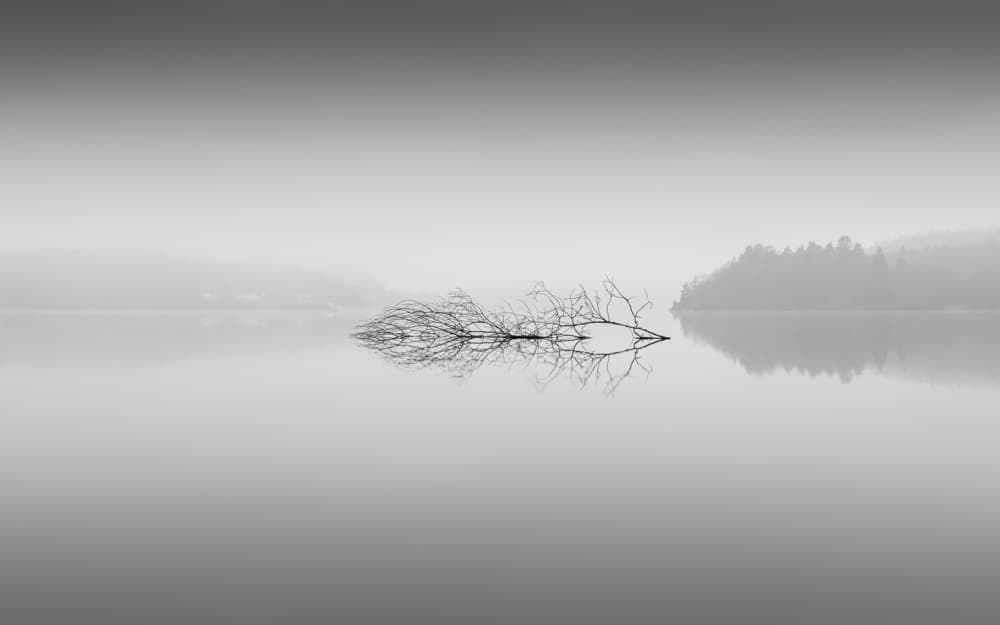 Misty Lake Serenity by Benny Pettersson — canvas wall art