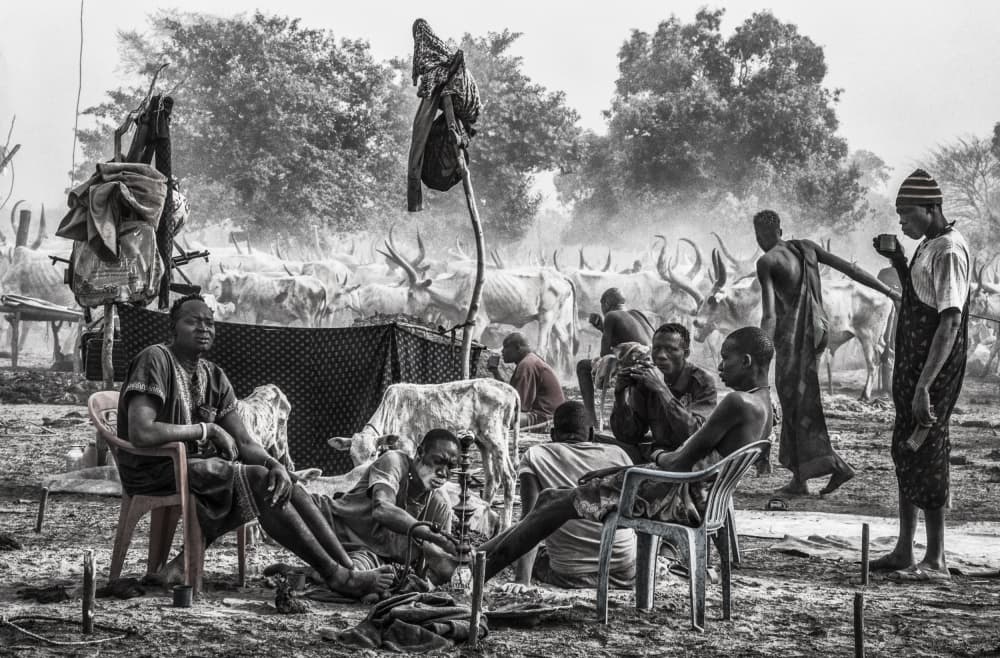 African Cattle Market by Joxe Inazio Kuesta Garmendia — canvas wall art