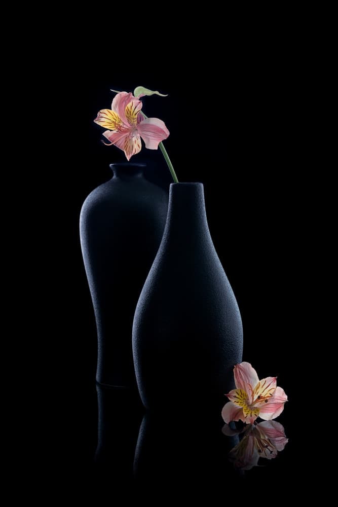 Elegant Alstroemeria Vases by GaoSL — canvas wall art
