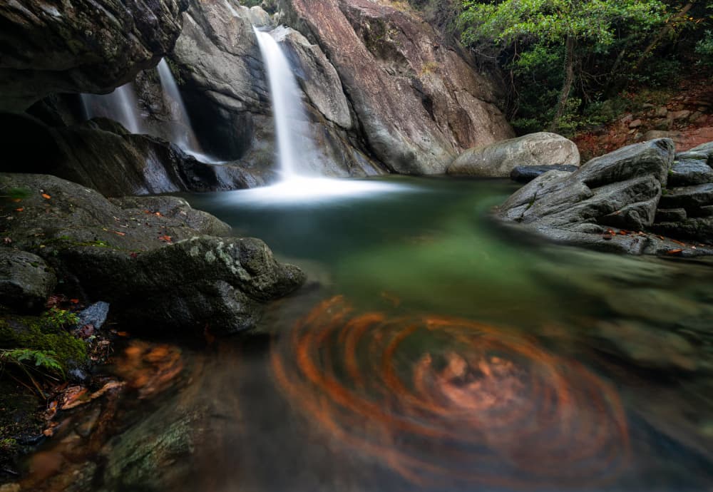 Serene Forest Waterfall by Marco Barisone — canvas wall art