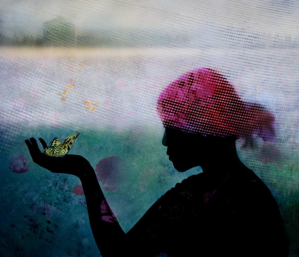 Ethereal Butterfly Connection by Shenshen Dou — canvas wall art