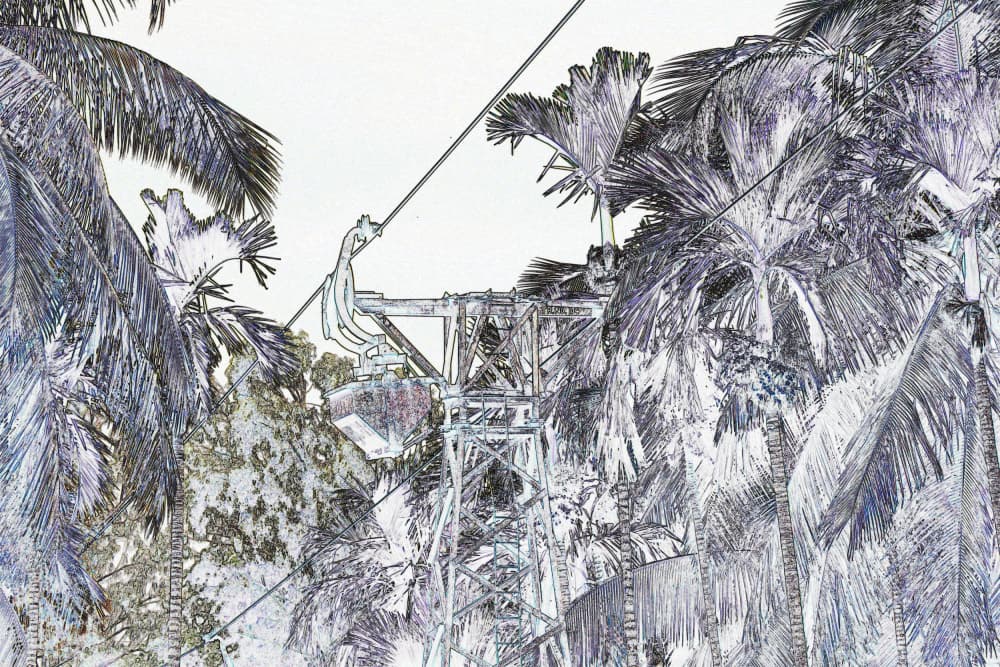 Palm Trees Cable Car by Santhosh ch — canvas wall art