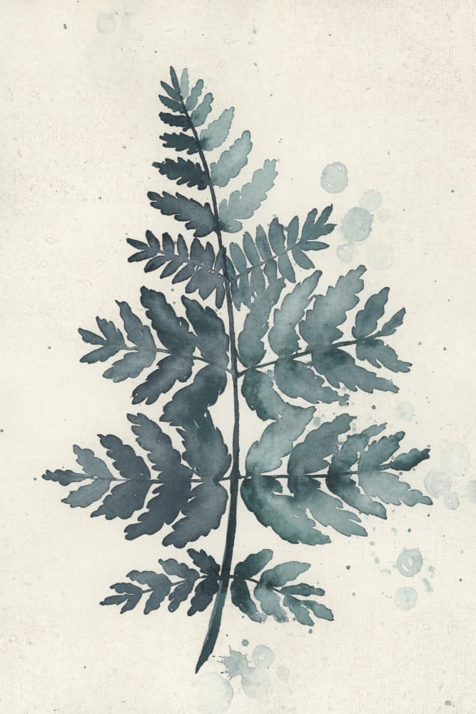 Watercolor Fern Botanical by Rosana Laiz Blursbyai — canvas wall art