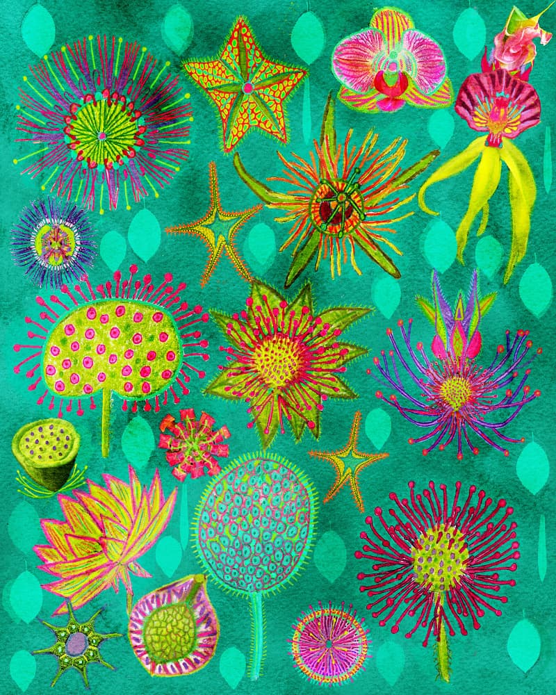 Vibrant Botanical Garden by giovanna nicolo — canvas wall art