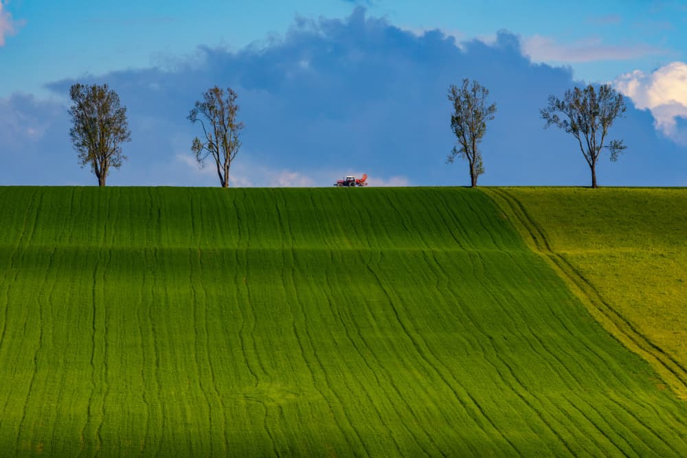 Rolling Green Farmland by Peter Hrabinsky — canvas wall art