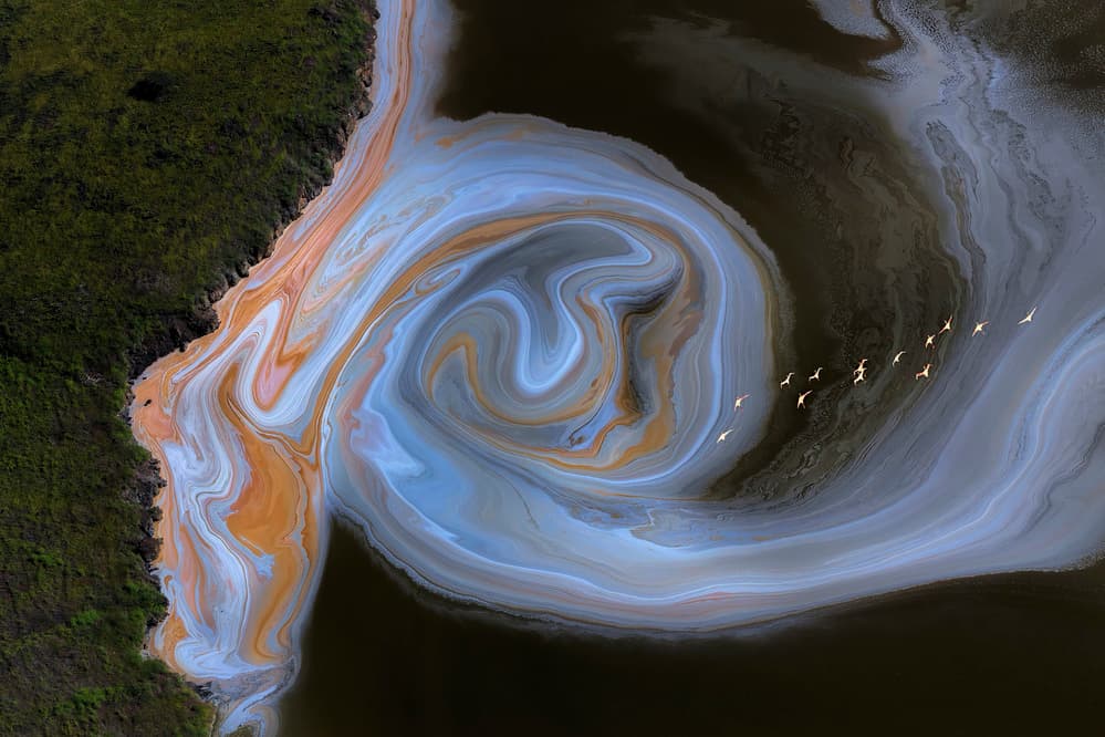 Swirling Lake Flamingos by Jun Zuo — canvas wall art
