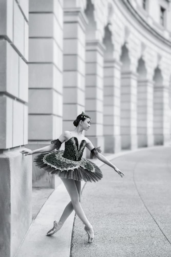 Elegant Ballerina Archway by Catherine Wang — canvas wall art