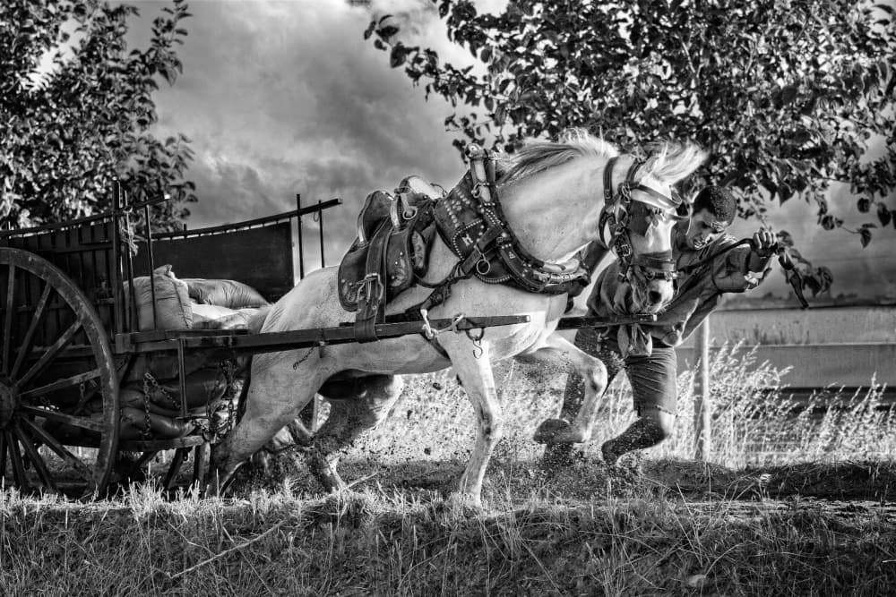 Man and Horse Struggle by Jose Beut — canvas wall art