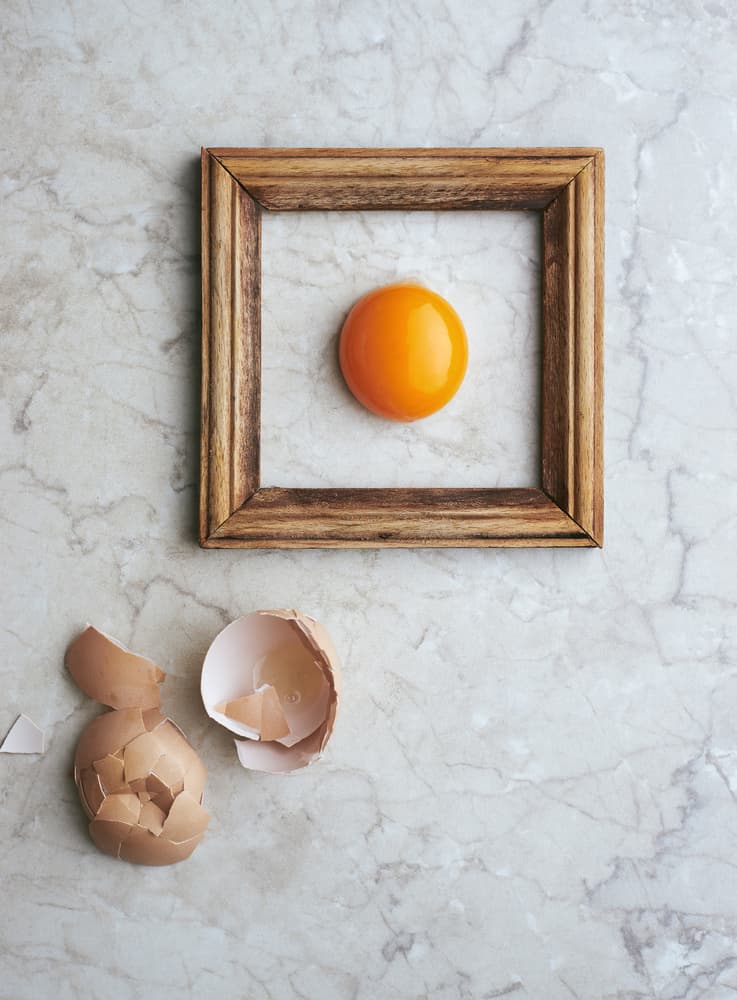 Framed Egg Yolk by Karina Aleksandrova — canvas wall art