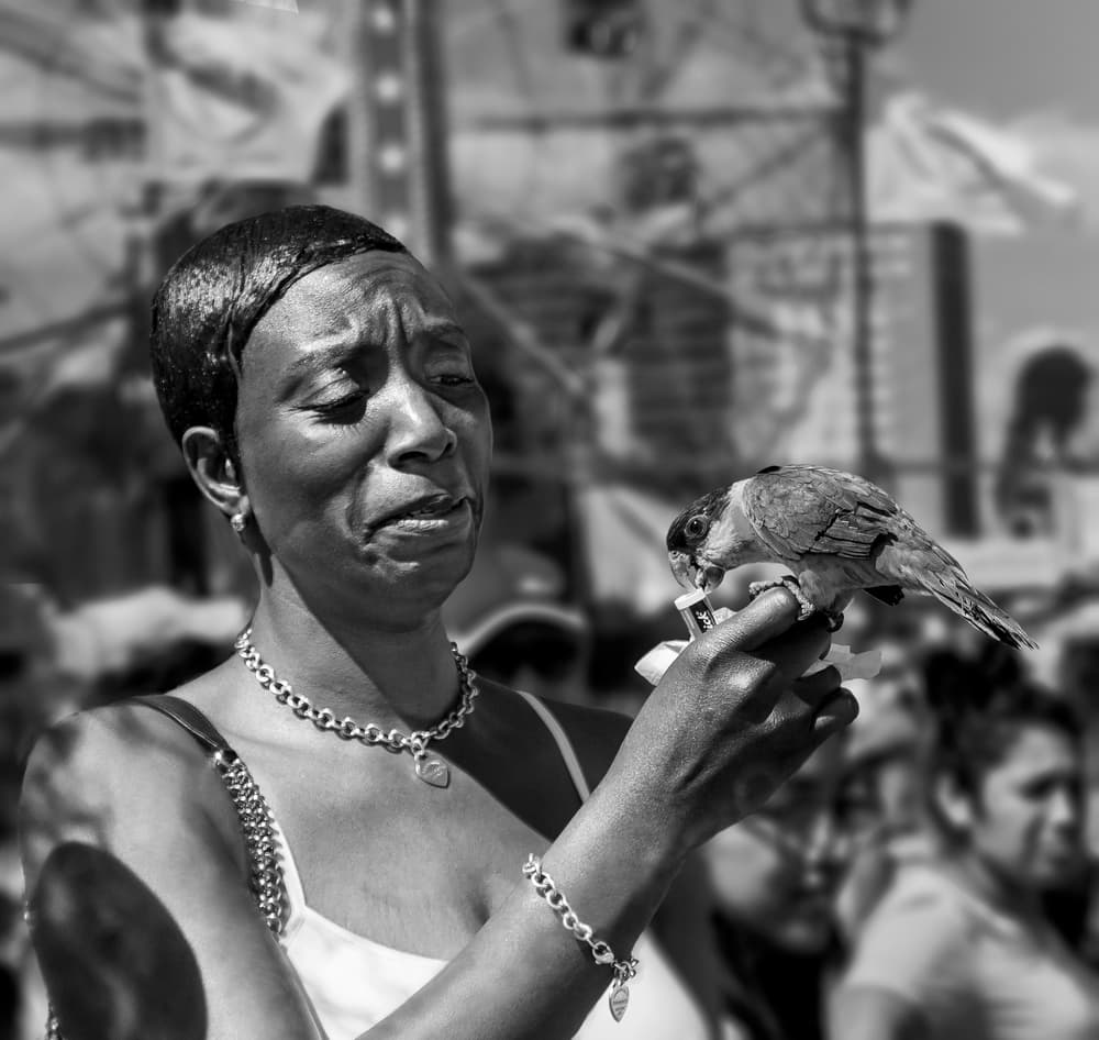 Heartfelt Moment with Bird by Michael Castellano — canvas wall art
