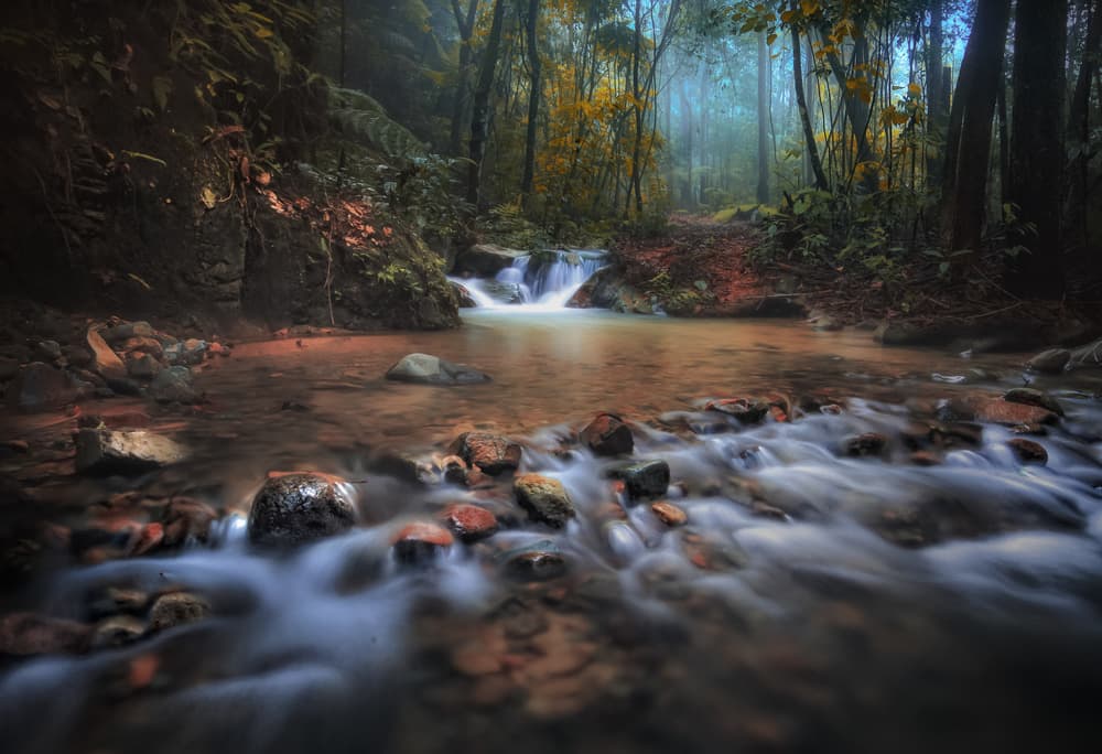 Misty Forest Stream by Hary Muhammad — canvas wall art