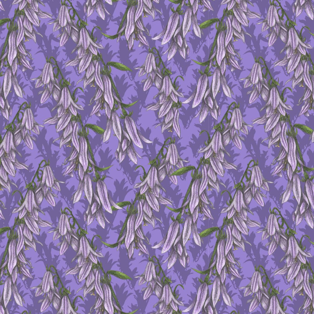 Lavender Floral Pattern by Cecilia Battaini — canvas wall art