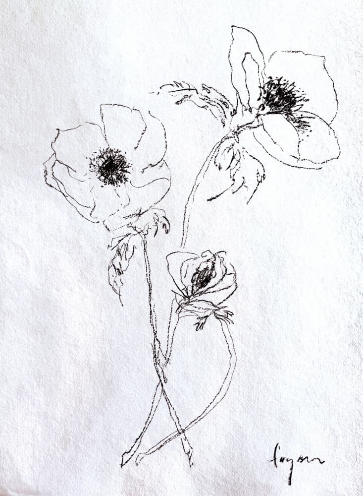 Delicate Flower Sketch by Dorothy Fagan — canvas wall art