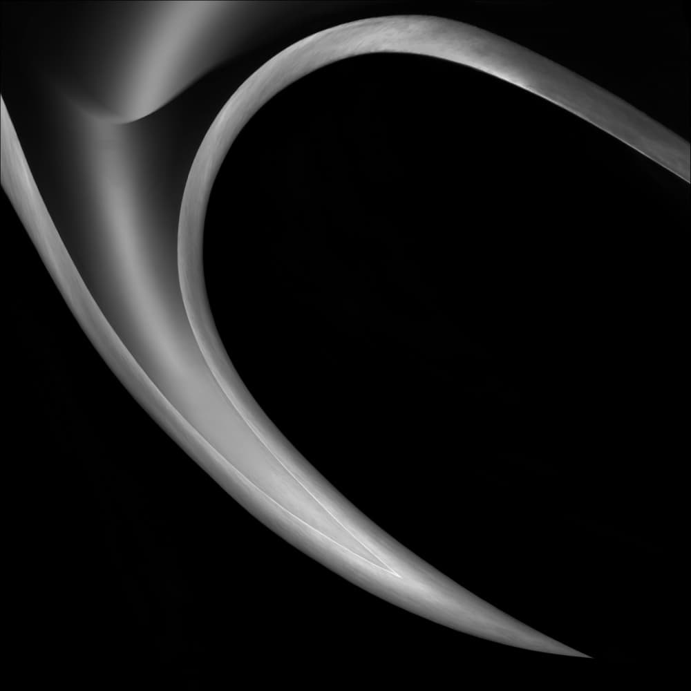 Flowing Abstract Curves by Gilbert Claes — canvas wall art