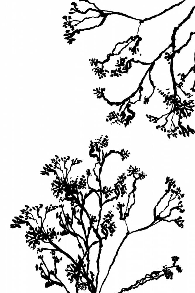 Minimalist Ink Branches by cartissi — canvas wall art