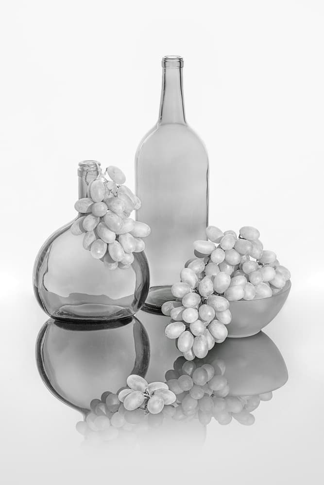 Monochrome Grapes Glass Bottles by Lydia Jacobs — canvas wall art