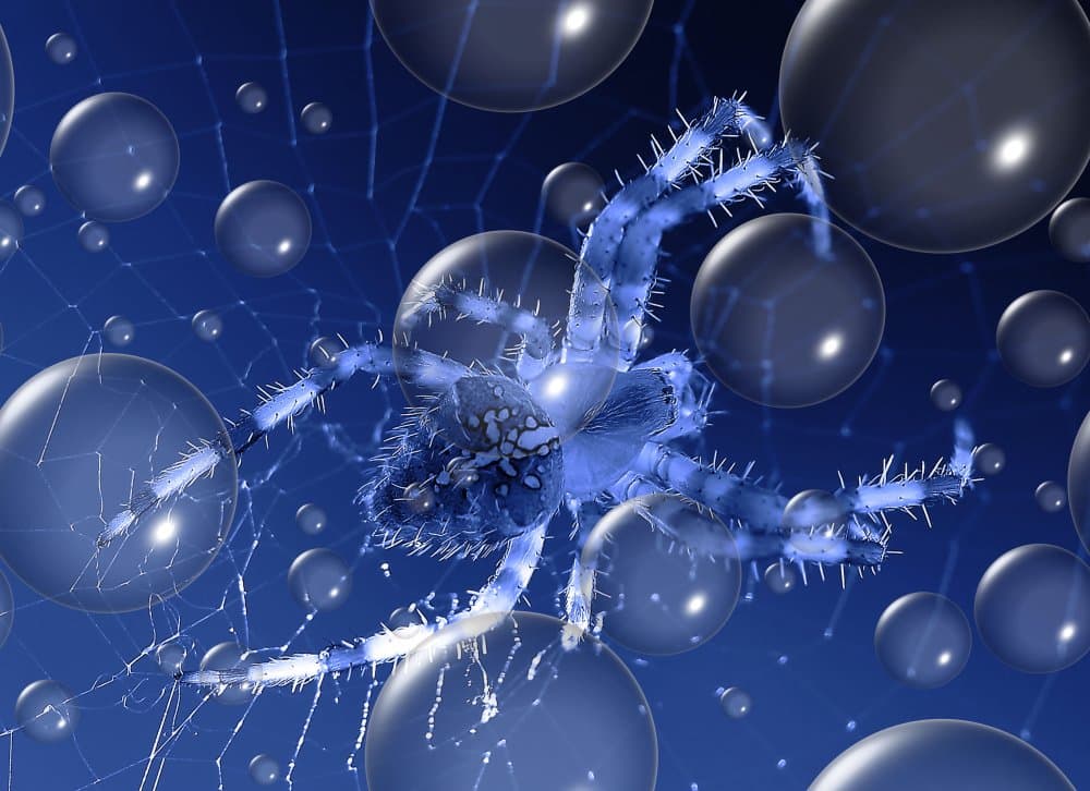 Glowing Blue Spider by Thierry Dufour — canvas wall art
