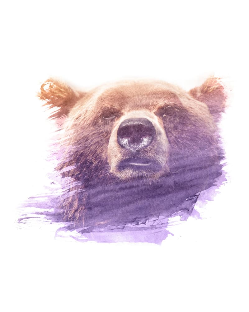 Watercolor Bear Portrait by Emiliano Deificus — canvas wall art