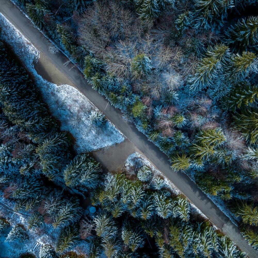 Winding Winter Forest Road by Lubomir Vladikov — canvas wall art