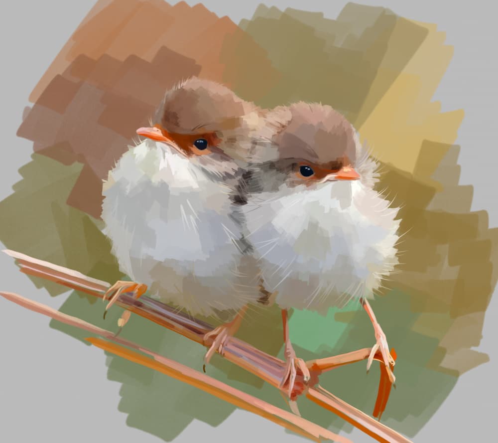 Fluffy Baby Birds by Emily Kalina — canvas wall art