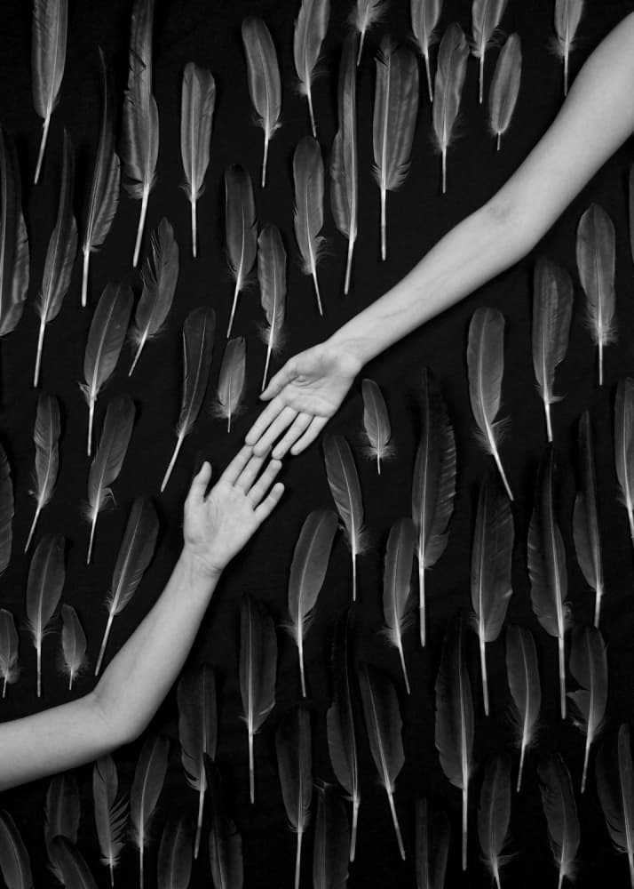Reaching Hands Feathers by Mike Melnotte — canvas wall art