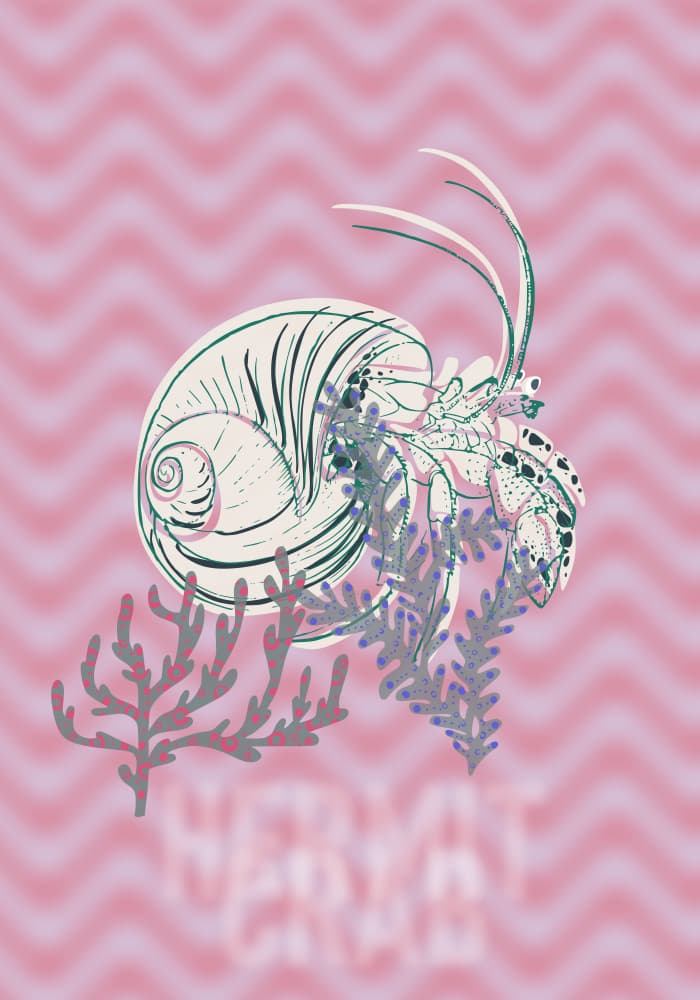 Cheerful Hermit Crab by Annick — canvas wall art