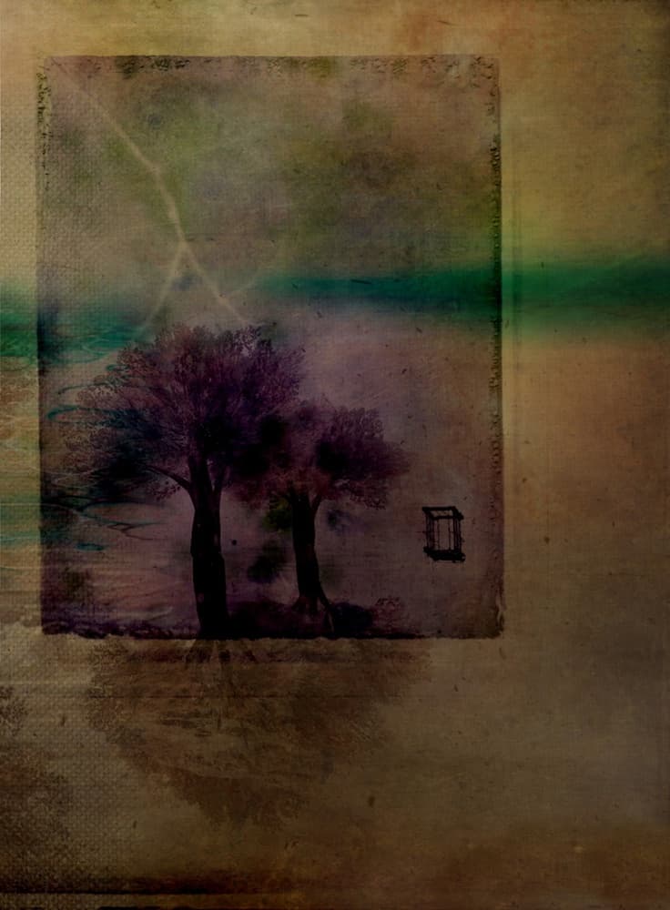 Lightning Over Dark Trees by Delphine Devos — canvas wall art
