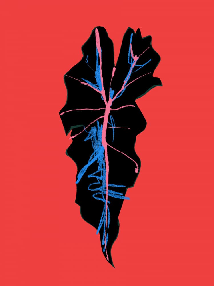 Modern Leaf Veins by Francesco Gulina — canvas wall art