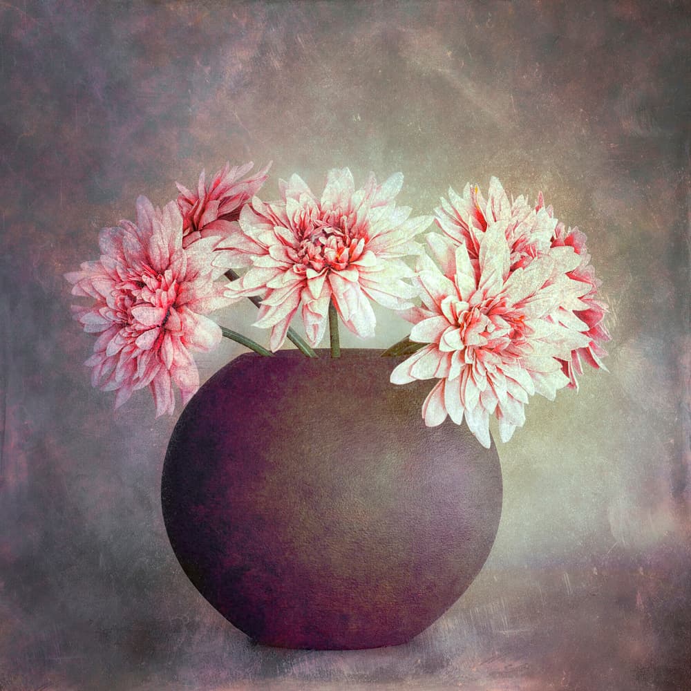 Soft Pink Floral Still Life by Cicek Kiral — canvas wall art