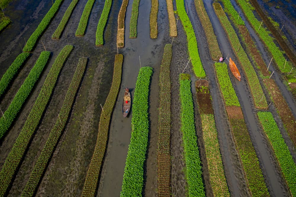 Floating Crop Fields by Azim Khan Ronnie — canvas wall art
