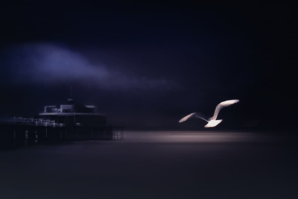 Seagull Over Dark Pier by Piet Flour — canvas wall art