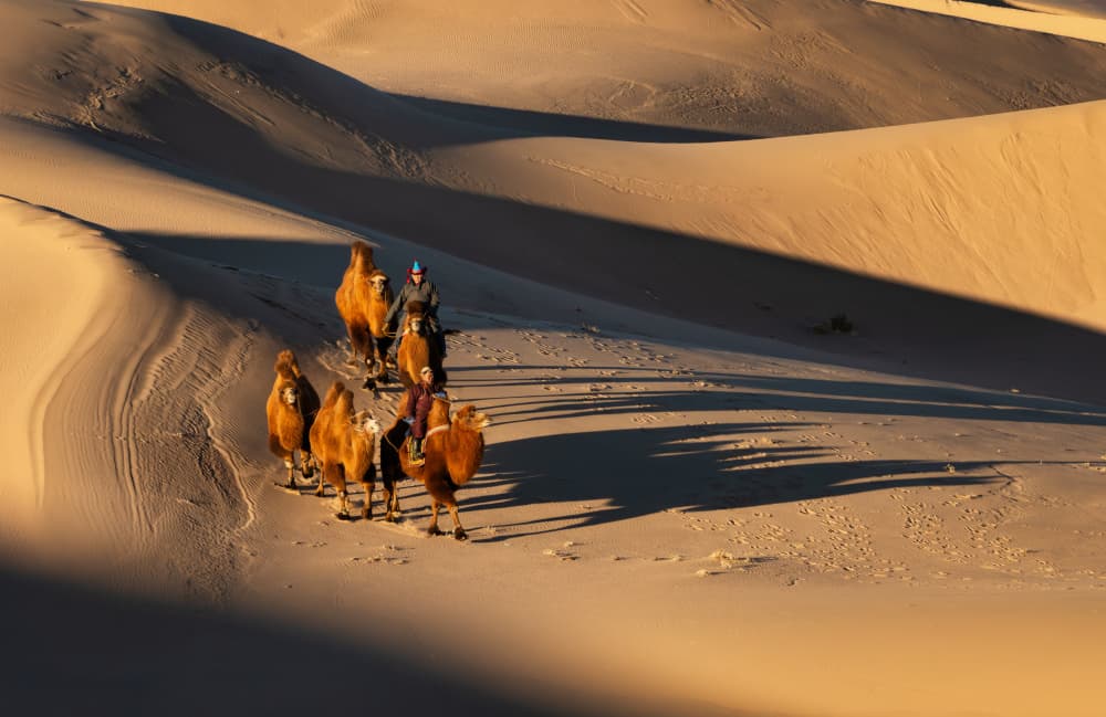 Desert Camel Train by Antoni Figueras — canvas wall art