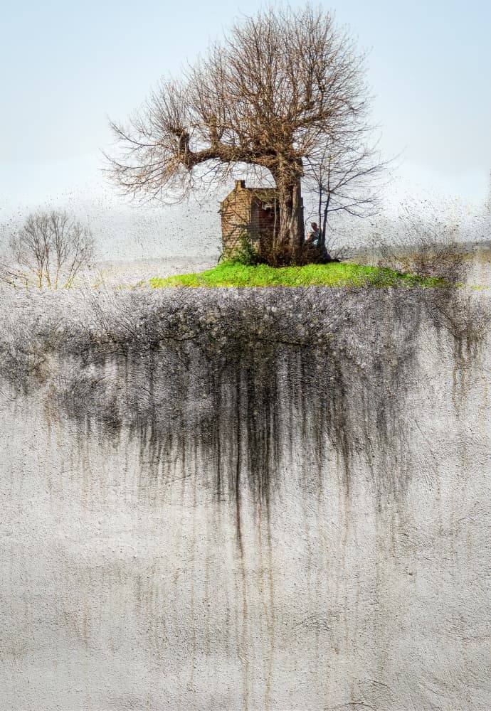 Weathered Tree Retreat by Daniel De Cort — canvas wall art