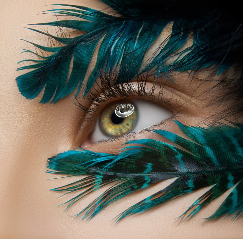 Golden Eye Feathers by HIM — canvas wall art