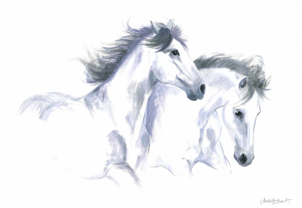 Two Horses by Isabelle Brent — canvas wall art