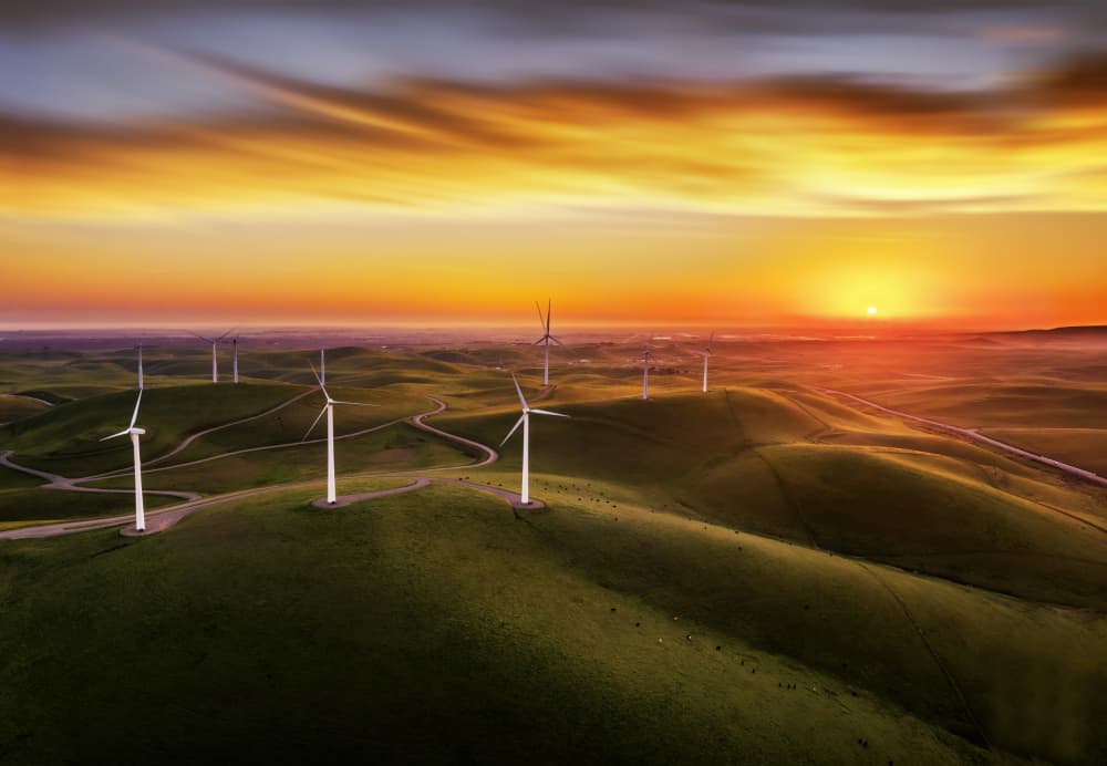 Golden Hour Windmills by Jenny Qiu — canvas wall art