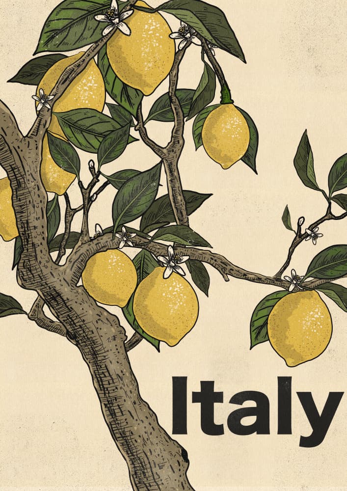 Italian Lemon Tree by Nicholas — canvas wall art