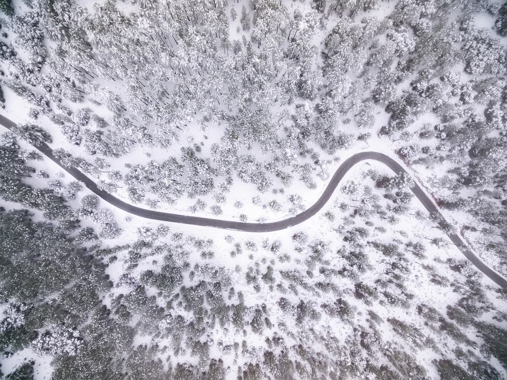 Winding Winter Forest Road by Antonio Carrillo Lopez — canvas wall art