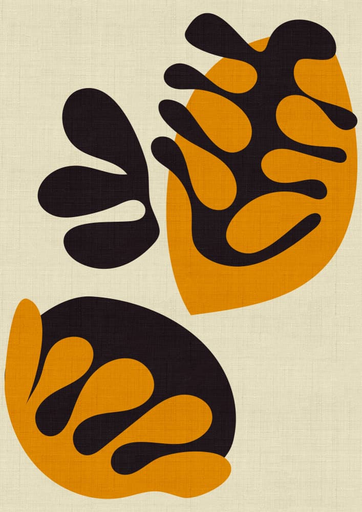 Matisse Cut Outs by Ana Rut Bre — canvas wall art