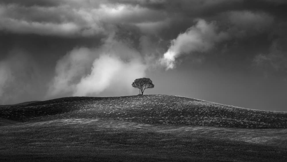 Lone Tree Hill by Thomas de Franzoni — canvas wall art