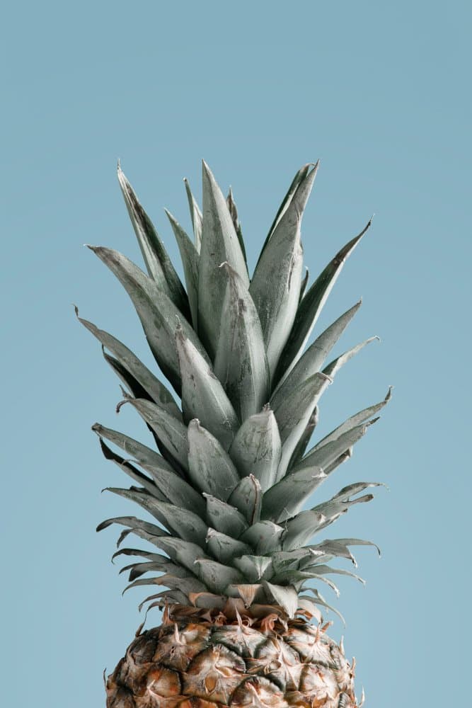 Golden Pineapple on Blue by Pictufy Studio III — canvas wall art