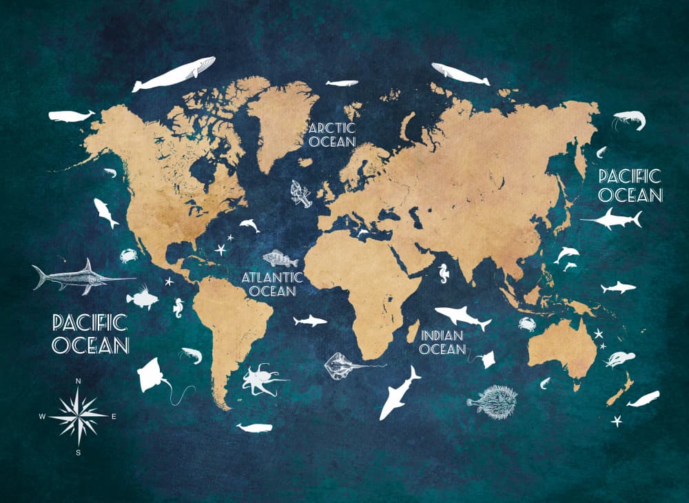 World Map Marine Life by Justyna Jaszke — canvas wall art