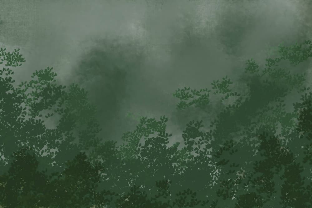 Misty Forest Canopy by Josie George — canvas wall art