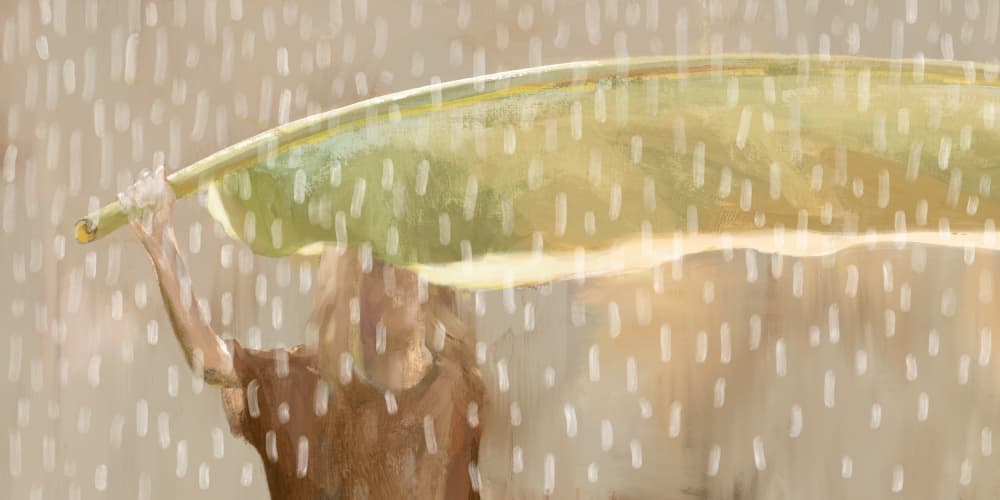 Let It Rain Julia Cheney by Julia Cheney — canvas wall art