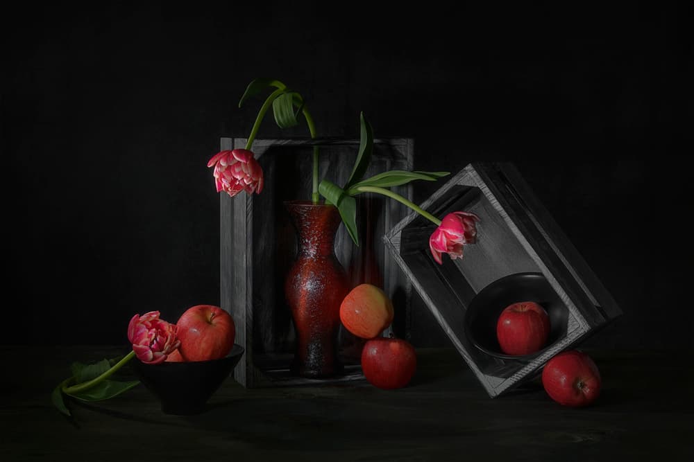 Dark Floral Apples by Lydia Jacobs — canvas wall art