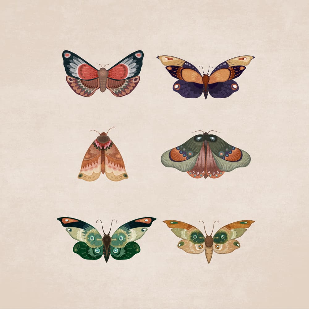 Winged Elegance by Emel Tunaboylu — canvas wall art